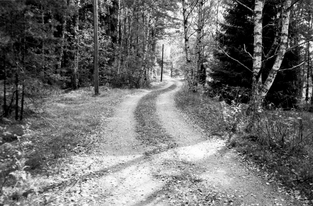 Gamla Väsbyvägen österut mellan Sursta och Norrbacka i västra Vallentuna