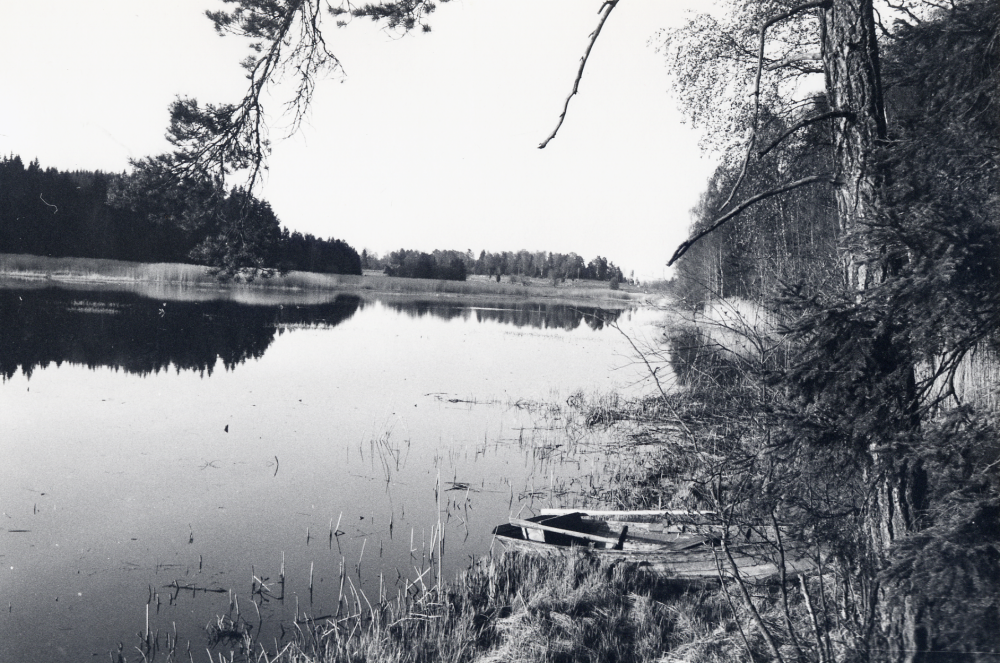 Stolp-Ekebysjön i Frösunda - nästan helt igenväxt - sedd från Solstasidan. Ägaren till Stolp-Ekeby gård, Anders Olsen, försöker att begränsa sjöns växtlighet, bl a med hjälp av vass-skärare