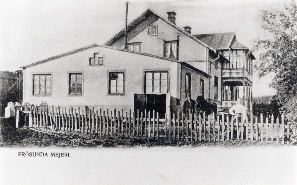Frösunda mejeri låg bakom Frösunda handel.  Ett spår ledde från mejeriet ner till stationen för transport av mjölk med tåget till Stockholm.  T h står en man med häst och en  kvinna som håller handen mot staketet nedanför mejeriet
