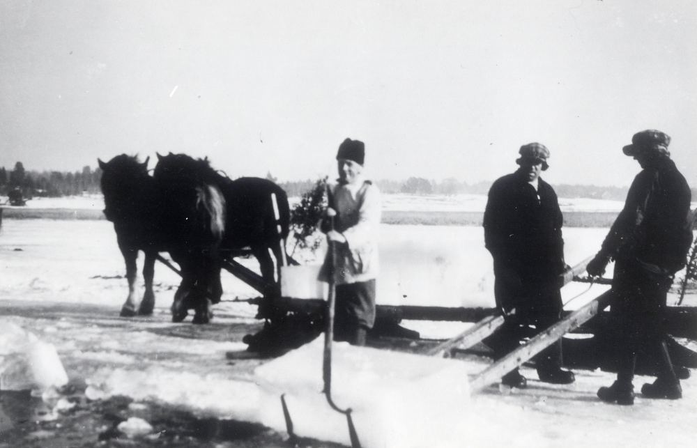 Isupptagning i Helgösjön vintern 1945.  Fr v Helge Andersson Hamra, Ejnar Carlsson och Emil Carlsson prästgården i Frösunda.  Isen sågas i block som dras upp med en krok upp på en stege till en släde, dragen av två hästar, för vidare transport till en isstack.  Stacken täcktes med sågspån.

Foto ev: G E Carlsson