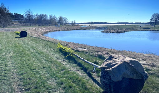 Träd som planteras i Våtmarksparken