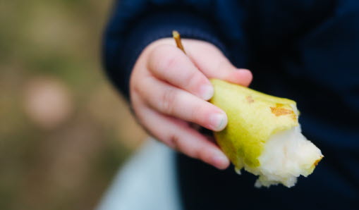 Bild på barns hand som håller ett päron