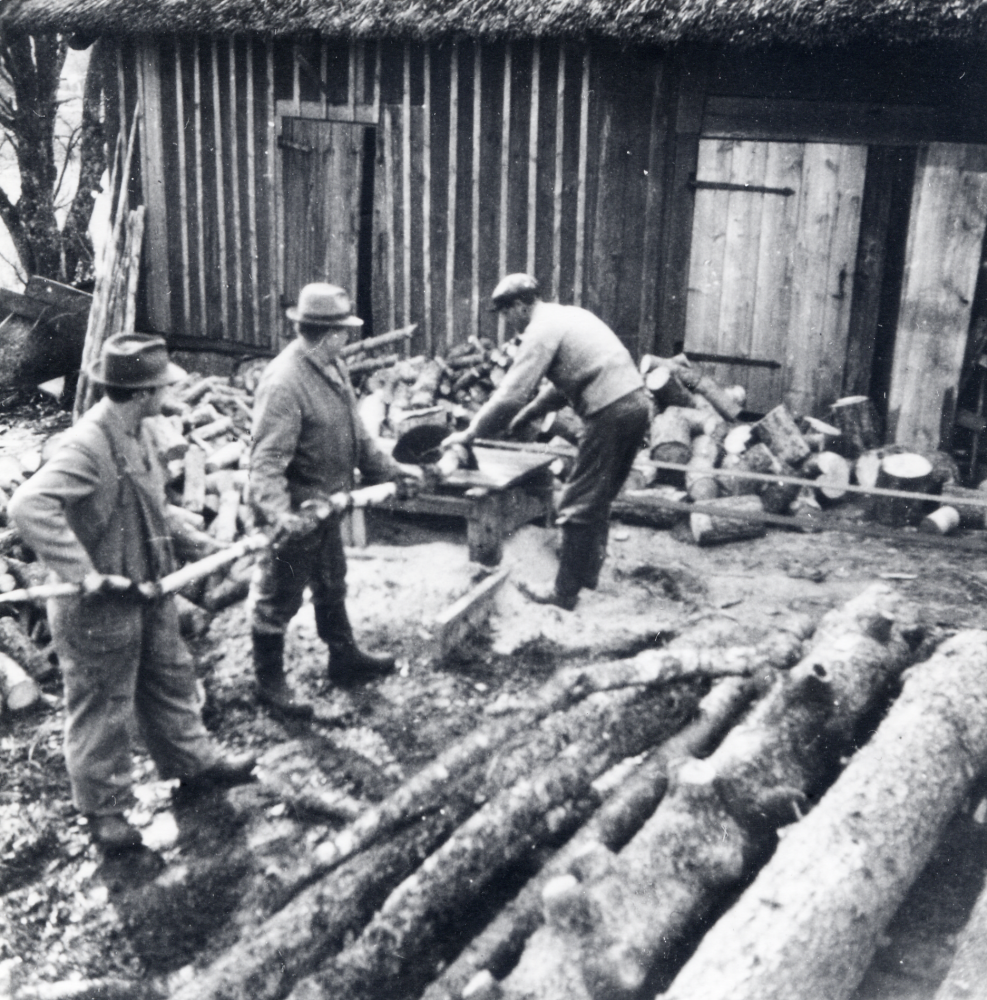 Vedkapning på Kragsta gård i Vallentuna. Fr v står Melker Jonsson, David Sundin och vid sågklingan Nisse Rick