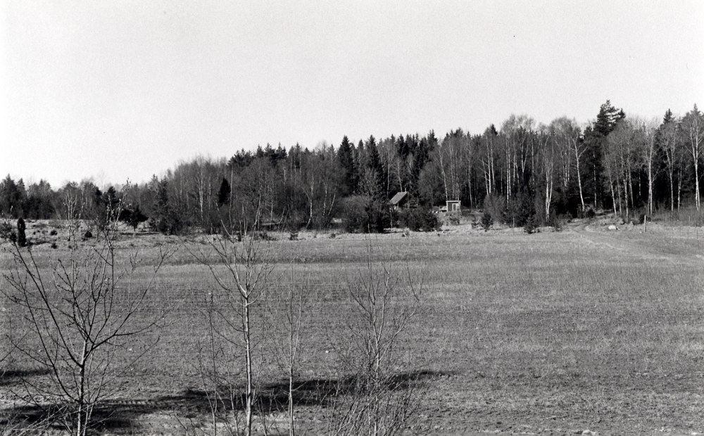 Fagermoda, torp under Molnby gård skymtar bland träden. I förgrunden är åkermarken planterad med energiskog