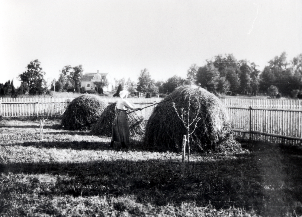 Claës Erik Schram köpte 1921 tomtmark öster om Ormsta gård för att bygga ett sommarställe.  Det fick namnet Schramsta.  Sommaren 1923 är huset färdigbyggt.  Samtidigt anlade Claës Erik Schram en trädgård med solur, blommor och fruktträd.  Här volmar hustrun Marie-Louise Schram hö bland de nysatta fruktträden.  I bakgrunden syns Solsta, bostad för Marie-Louises bror C M Carlsson och hans familj