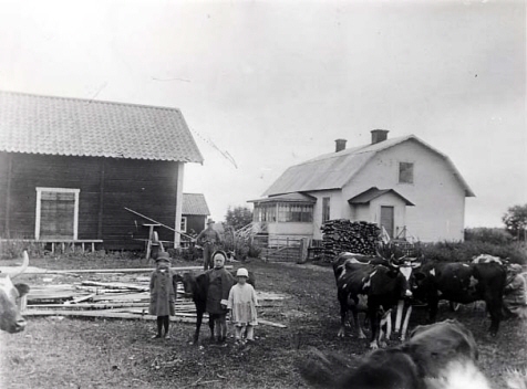 Gård. På gårdsplanen står det en grupp personer tillsammans med några kor. 