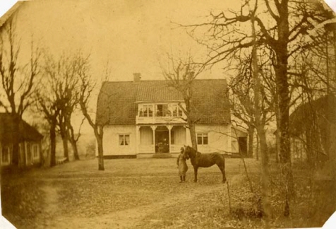Hus. Framför huset står en häst.