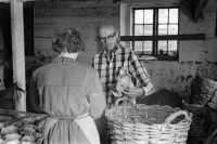 John och Svea Rundqvist rensar och sköljer sallat inför leverans. Paret Rundqvist flyttade från Hässelby 1942 och köpte Ensta gård i Ormsta. Där bedrev de grönsaksodling fram till 1972 då området bebyggdes.