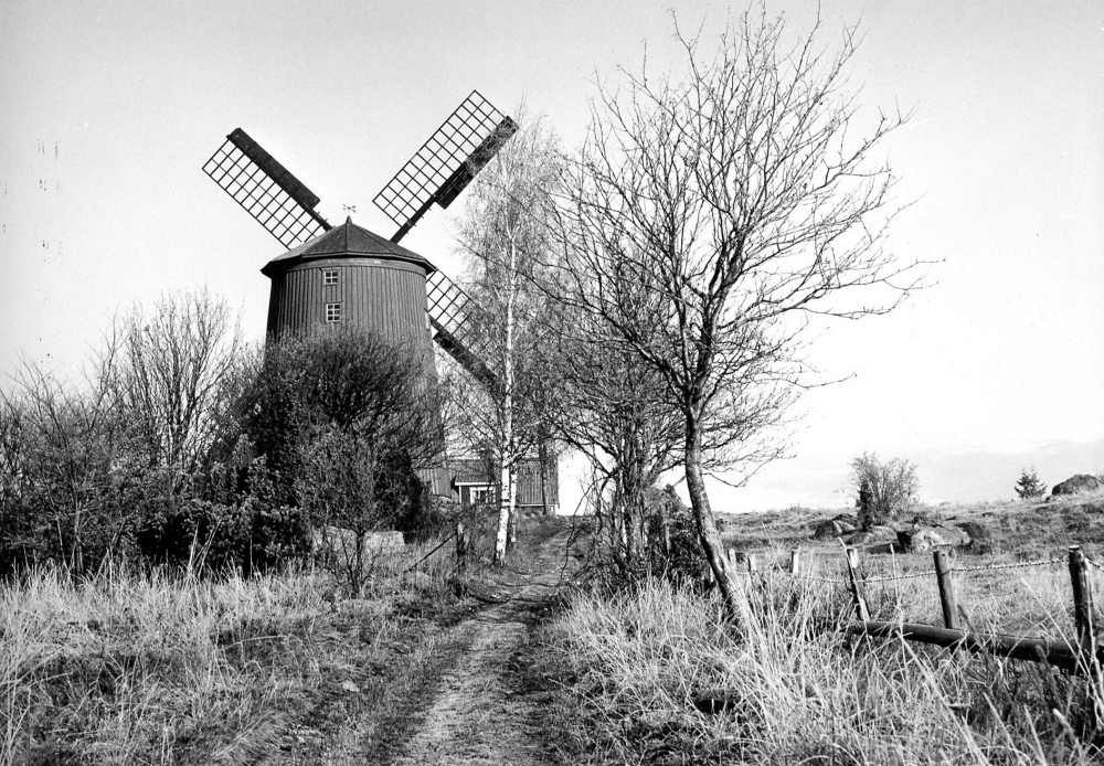 Bakom Väsby kvarn skymtar man kvarnvillan.