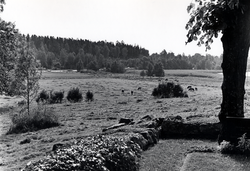 Utsikt från Vallentuna kyrka mot Bällsta, där en gång- och cykelväg skall byggas.  I förgrunden Vallentuna kyrkogård och i bakgrunden t v Stockholmsvägen. På ängen betar kor