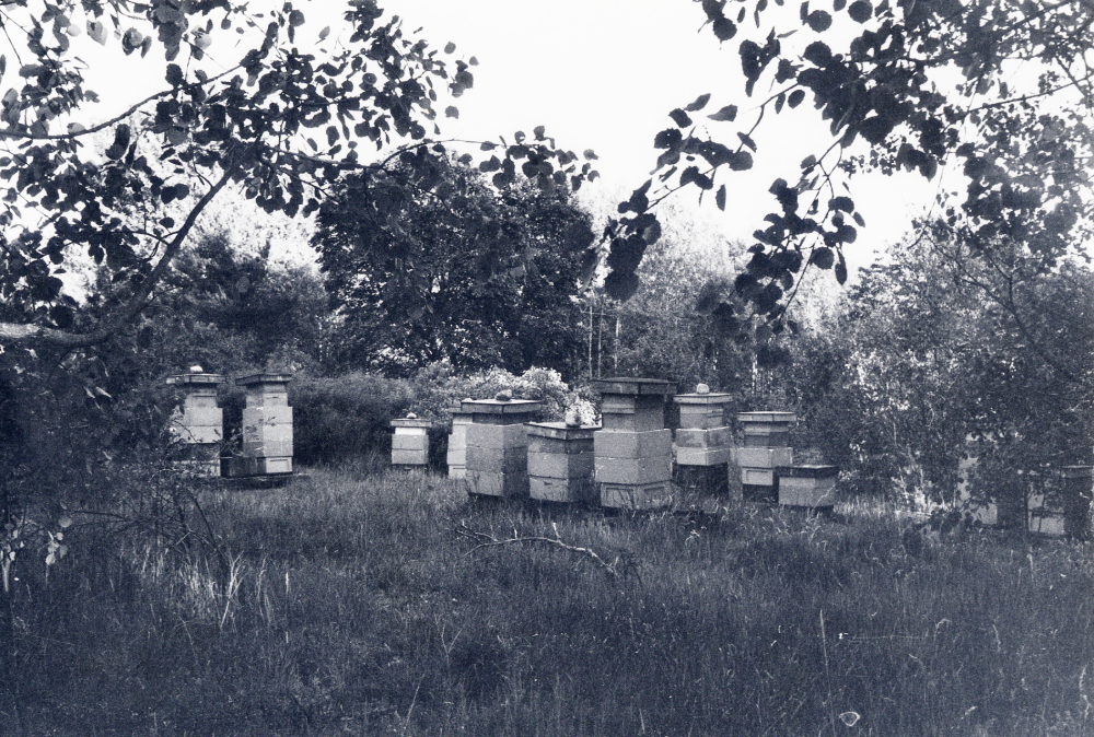 Bikupor vid Fågelsångsvägen i Vallentuna. Lars-Erik Björkhem var biodlare i 25 år och slutade odla på platsen 1997 p g a skadegörelse. Här låg tidigare ett hus, Lugnet, som vandaliserades och revs i slutet av 1970-talet