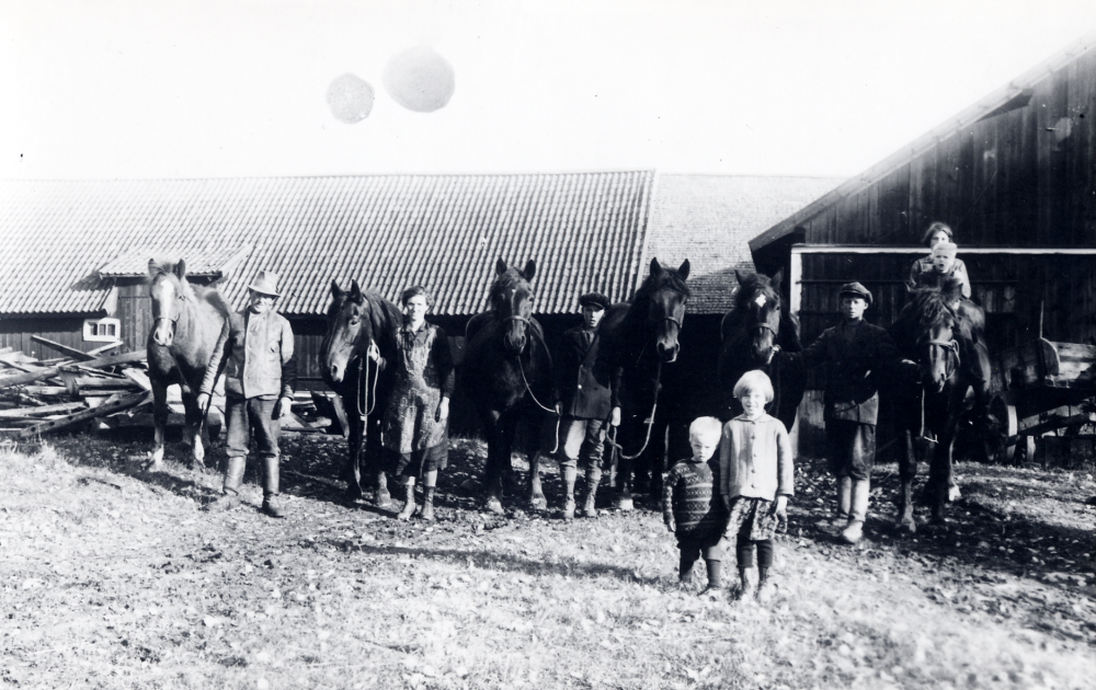 På  Nyby gård  fanns sex :hästar  Fr v står  Carl Wiberg  och hans hustru  Julia Wiberg  samt barnen  Börje Wiberg   Svea Wiberg   Karl-Erik Wiberg  och  Stig Wiberg  Mellan hästarna t h tår drängen  Karl Öhman