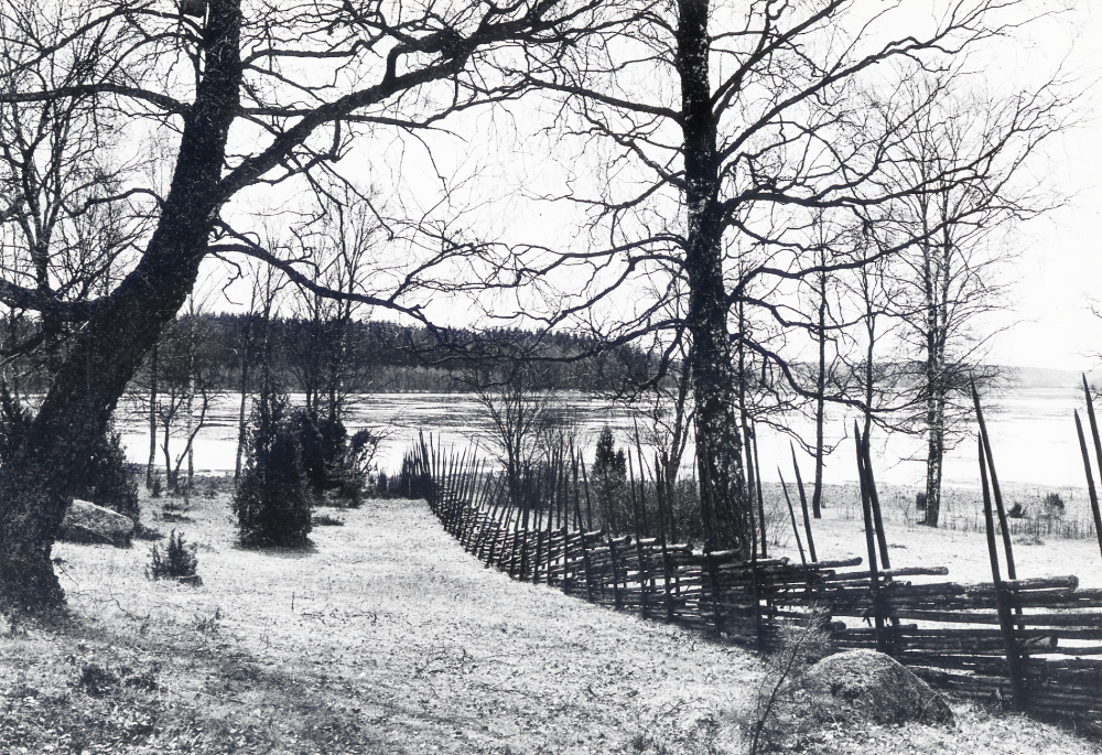 Angarnssjöängen sedd från Skesta hage. Hagen ligger på södra sidan av vägen och en parkeringsplats med anslagstavla om Angarnssjöängen ligger på norra sidan.