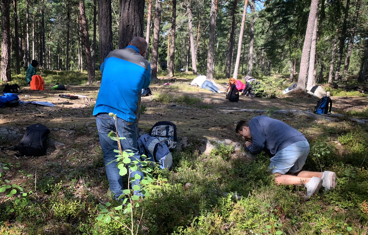 Personer som ligger ner på marken i skogen