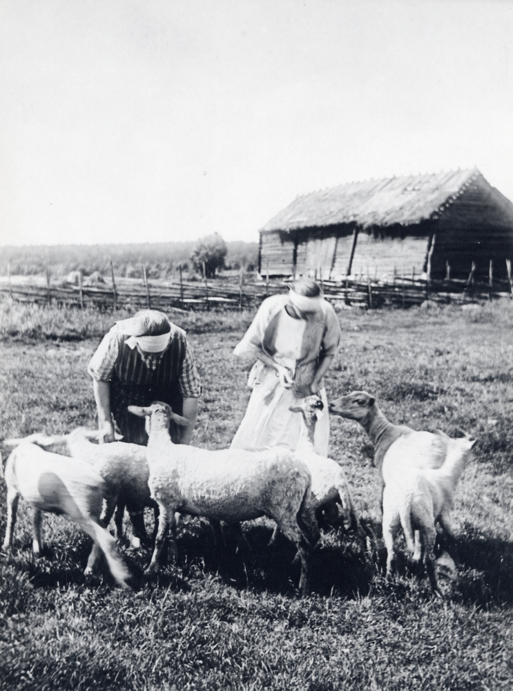 Får  vid  Oppgården