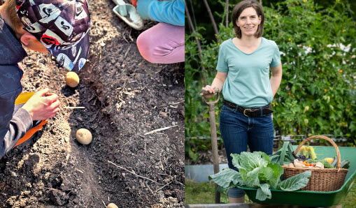 Barn som sår potatis, kvinna med grönsaker