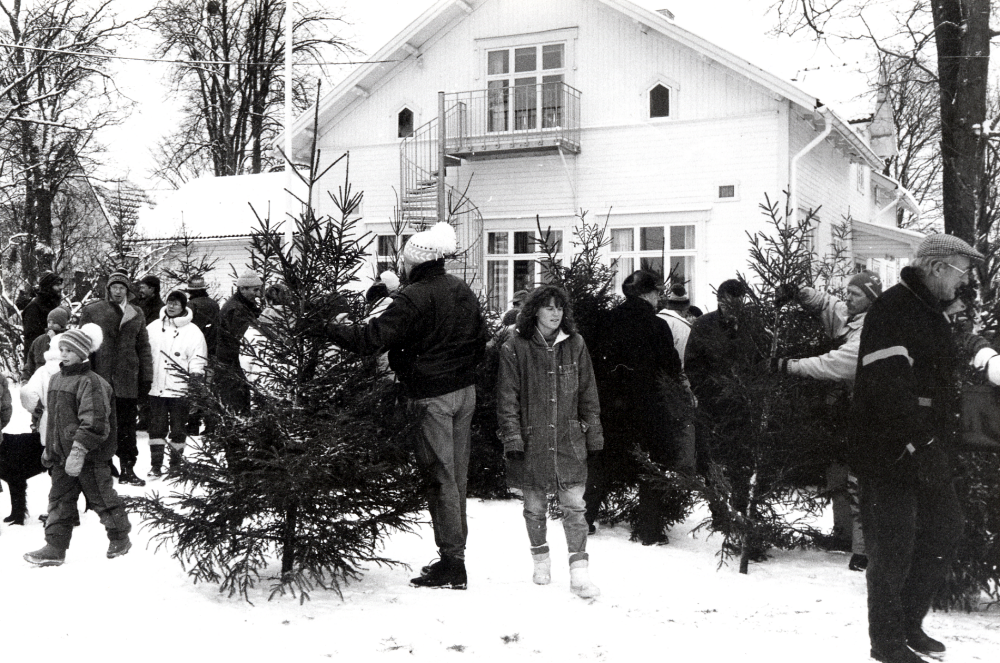 Julgransförsäljning vid Frösunda julmarknad vid Frösundagården