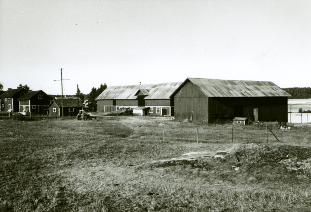 Från höger syns loge, därefter ladugård, garage, hönshus och magasin. Bakom garaget skymtar bostadshusets tak.