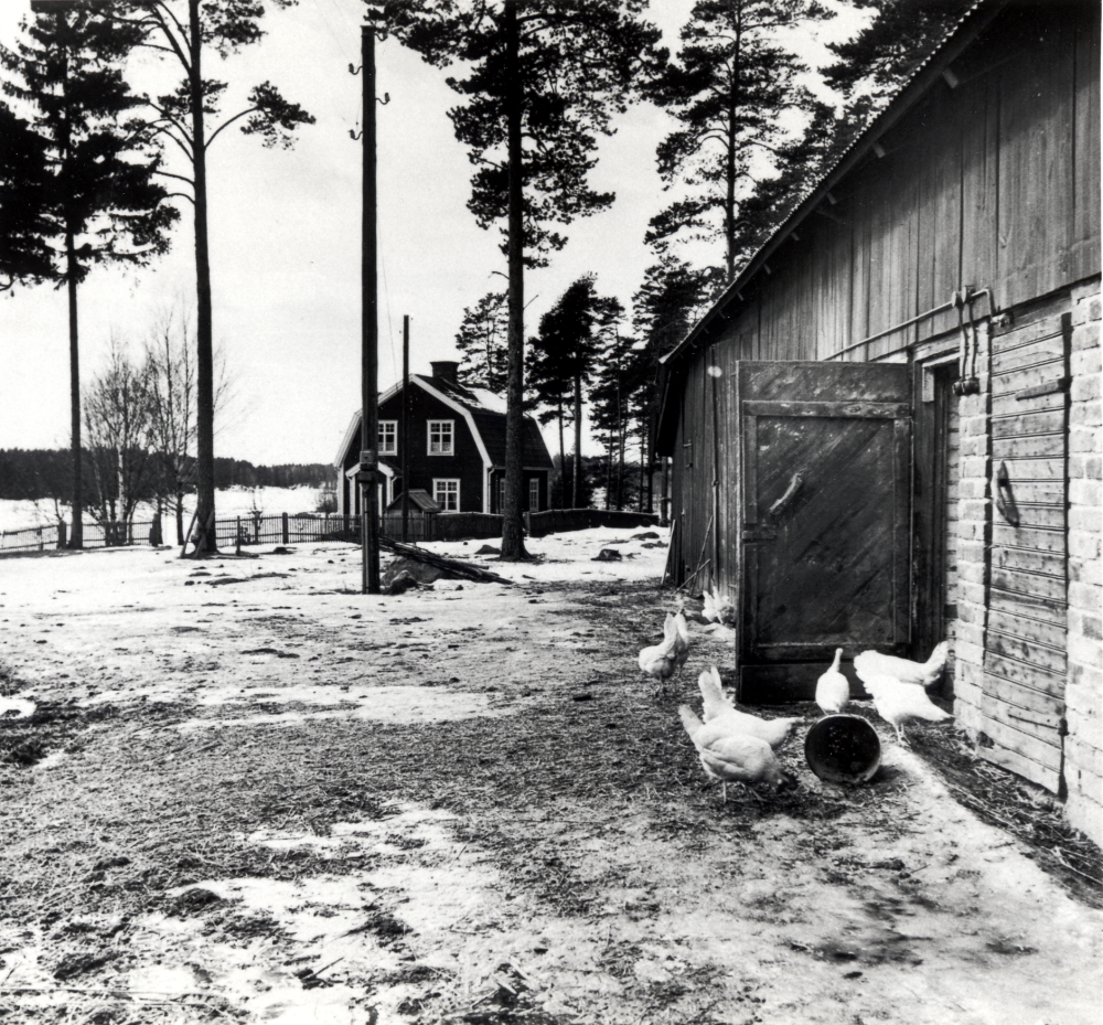 Arrendatorsbostaden vid Rosendals gård i Vallentuna. låg i hörnet av nuvarande Galgbacksvägen och Tallhammarsvägen.  Huset av K F Pettersson, far till Vivi Danred.  På nedre botten bodde på 1950-talet arrendator Forsblom och på övre våningen Vivi Danred, senare gift Eriksson, med dottern Neta.  Forsblom hade en dräng som var dvärg och kallades "Lill-Kalle". Han hade också en dotter som hette Solbritt.  Hon lärde Neta dansa gammalt och nytt  på köksgolvet i övervåningen.  Hela gården med mark köptes av Vallentuna kommun.
