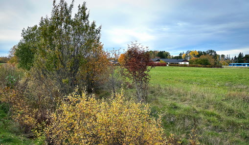 Snapptunaån, före röjning