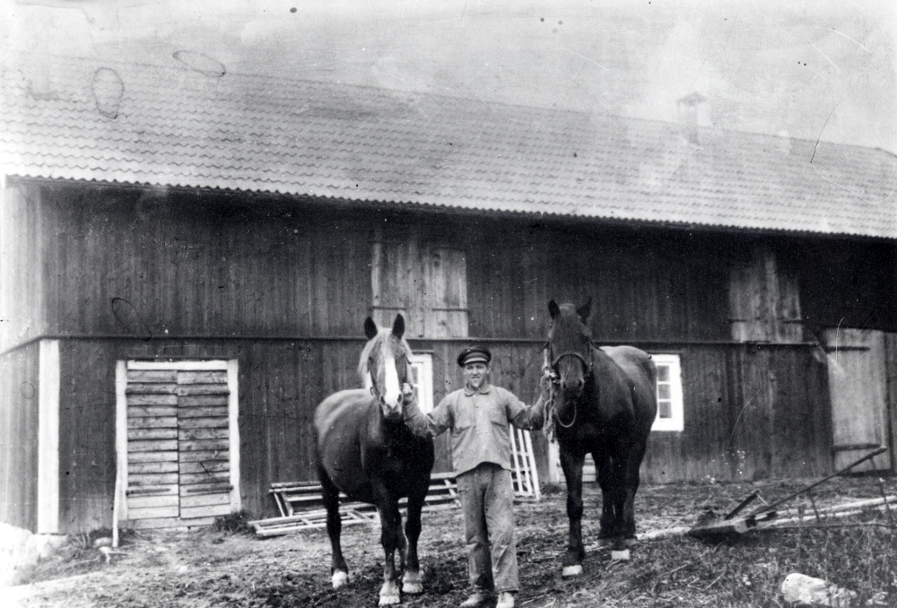 Uno Mattsson  på  Gillberga gård  tillsammans med sina  hästar  utanför ekonomibyggnaden