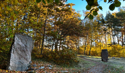Fornlämning, runsten i förgrunden. Lite längre bort står en till runsten. Frost och höstlöv i gräset. I bakgrunden finns träd i höstiga färger med gula, röda och gröna löv. Blå himmel.