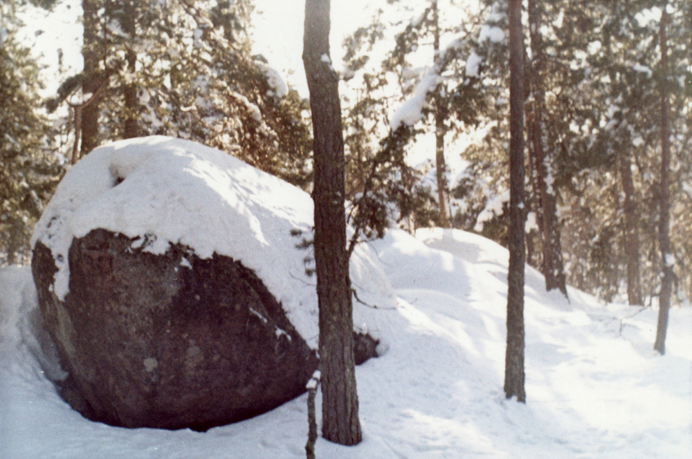 Flyttblock  från istiden vid vägen till Vallentuna vattentorn. Högsta punkten på Nykrogsberget var en av de få platser i Vallentuna som stack upp över vattenytan vid istidens slut