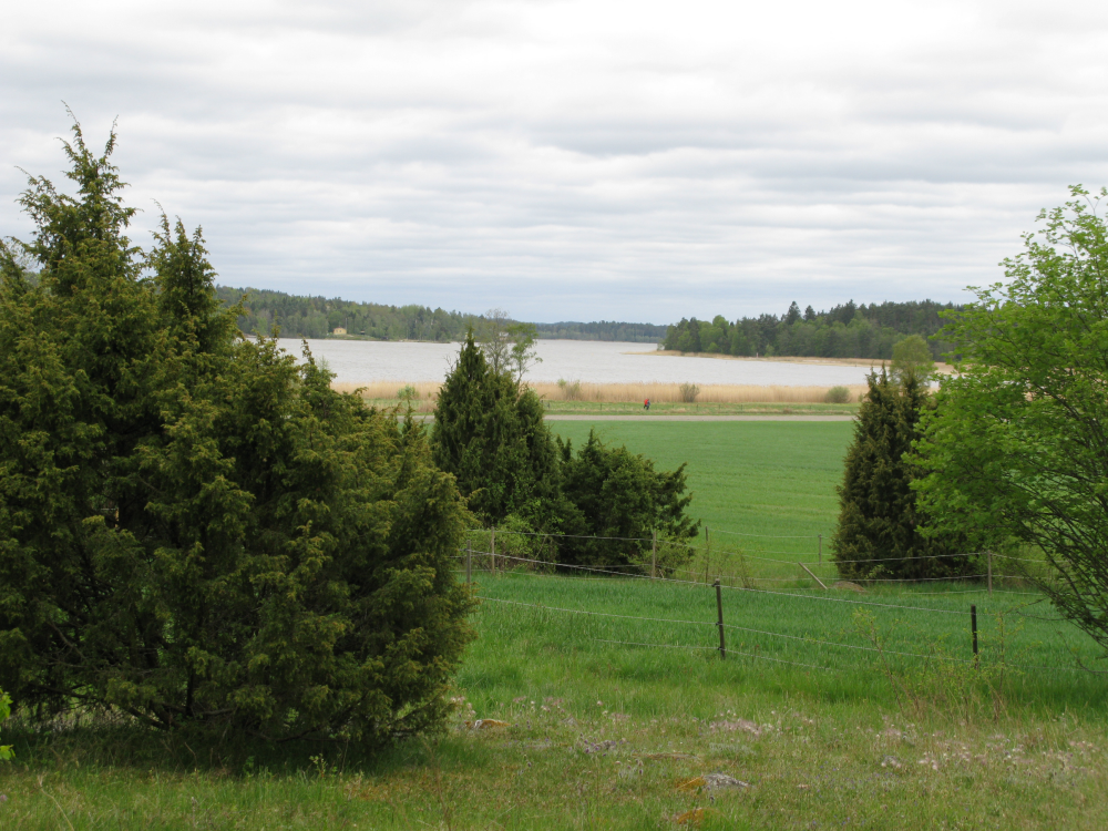 En äng vid Kyrkviken, Vallentunasjön.