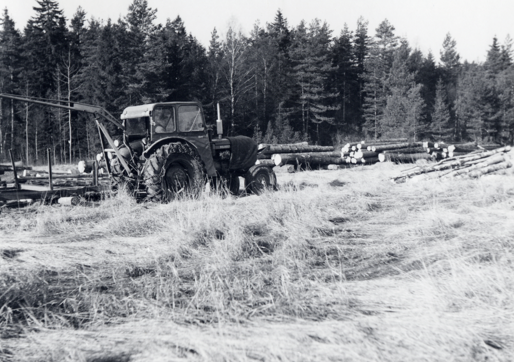 En traktor lastar timmer.

Uppgift om fotoår saknas, men troligen 1950- 1960-tal.