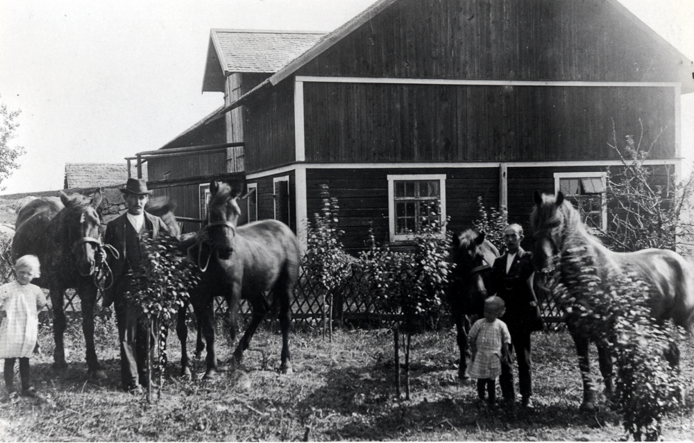 Rävsta gård, med fastighetsbeteckning 1:3, i Angarn.  Gårdens ägare Gustav Johansson t v och en dräng t h visar gårdens hästar.  Gustavs döttrar Gunvor och Ingrid t h är också med.  I bakgrunden gårdens ekonomibyggnader, främst stall med loge.  Det främre taket är täckt med spån, det bortre förmodligen med vass