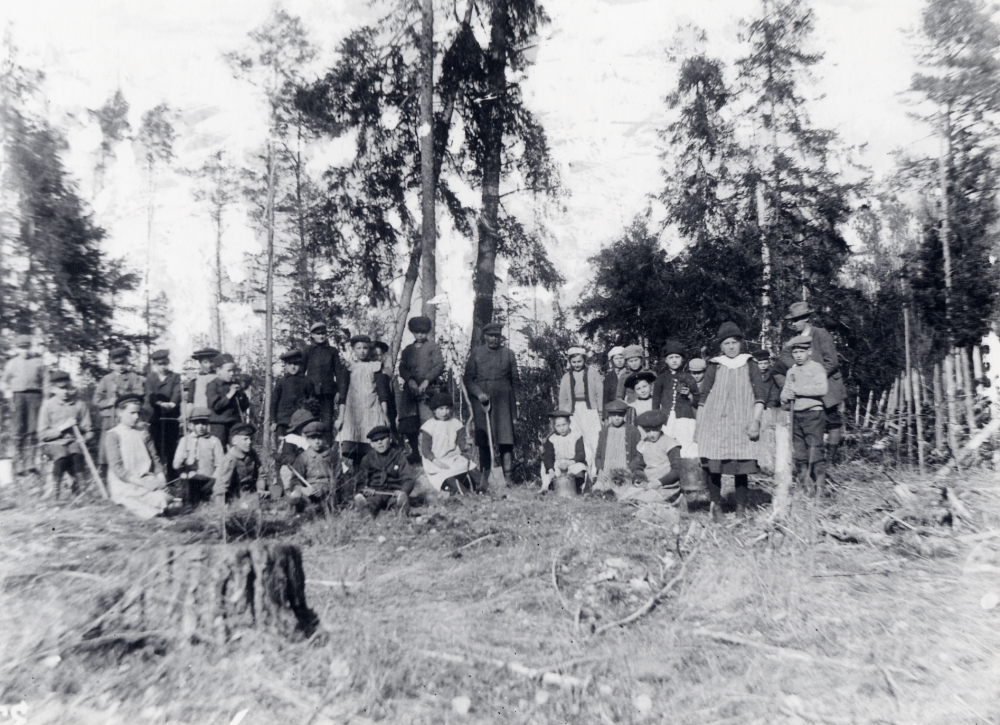 Barn från  Frösunda skola  är ute i skogen och planterar nya trädplantor tillsammans med sin lärare  Zackeus Carlsson