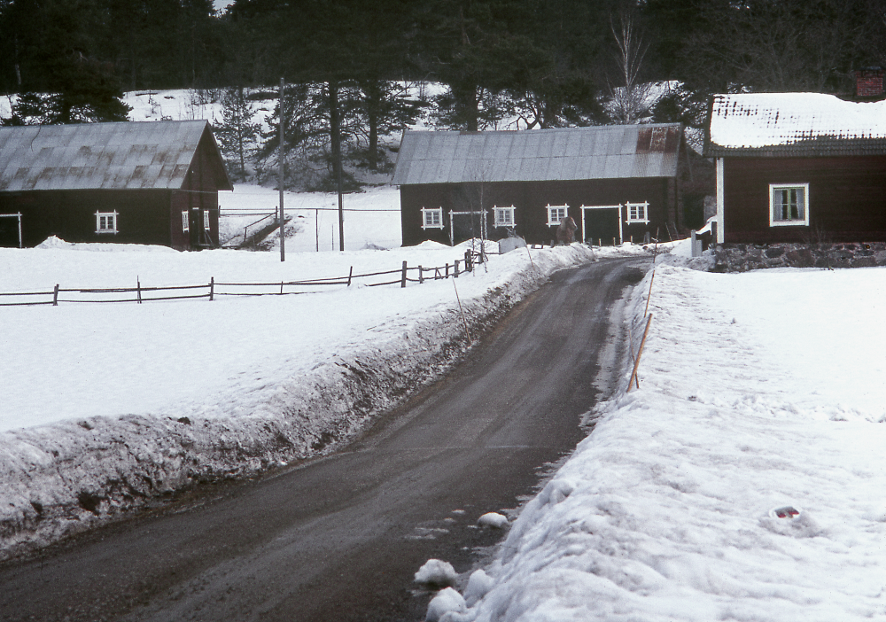 Lappdal i mars. Snö. Fotografiet ingår i bildserien Angarnssjöängen 1970 som köptes av Vallentuna kommun och gjordes mot bakgrund av den oro som fanns bland naturvänner då Stockholm stad planerade en ny stad i området med upp mot 100 000 invånare. Så småningom övergavs planerna och istället bildade Länsstyrelsen naturreservat 1982.