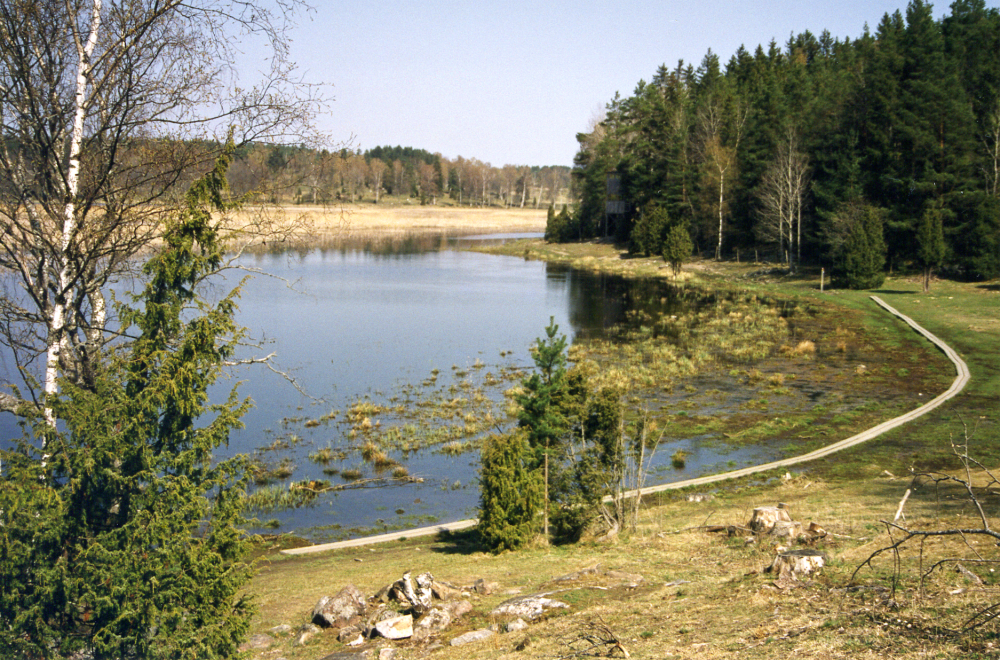 Vår vid Angarnssjöängen.