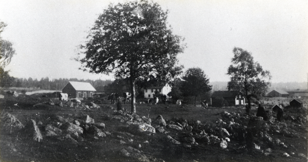 Den vita byggnaden är Ormsta gård. Arrendator Gustav Sundmans hus t h och längst t h skymtar Åby tegelbruk