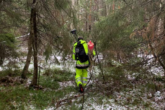 Skojsröjare
