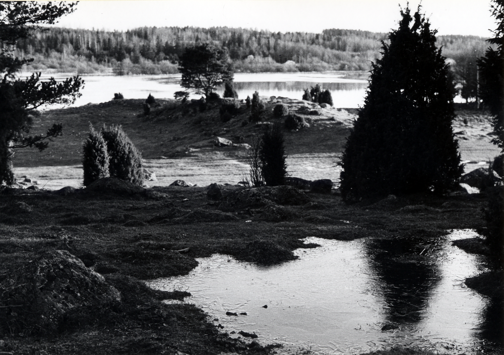 Utsikt över Vadadalen som är översvämmad av vatten. I förgrunden vattenpölar med is