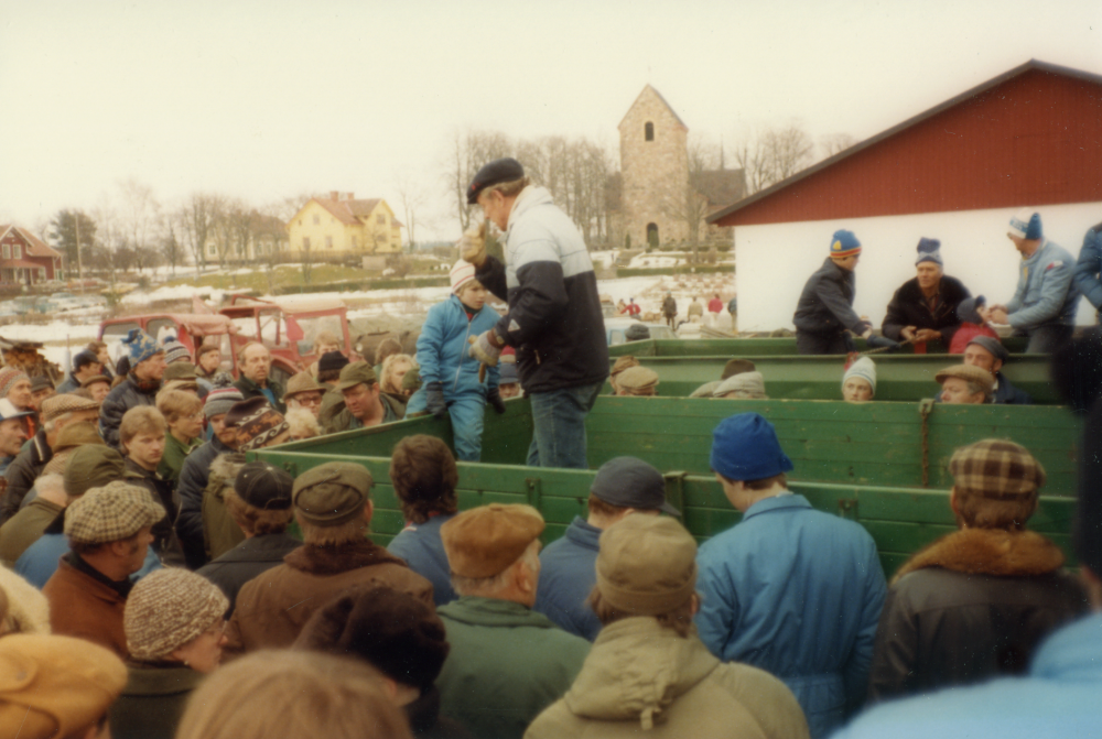 Arrendator Ragnar Eriksson slutar som bonde vid Vallentuna prästgård.  Djur, maskiner och redskap auktioneras bort.  Väsby gårds  arrendator Sven-Erik Karlsson var Ragnar Eriksson behjälplig de sista åren innan han tog över arrendet även för Prästgårdens mark.  Datum för arrendeskifte skrevs alltid med tillträde 14 mars