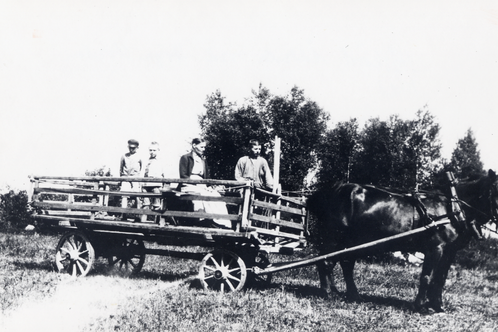 Höskörd  på  Åttesta gård  vid  Höga Vreten.  Två  hästar  drar  höskrindan.  På skrindan står fr v  Henning Dahlström  drängens bror,  Erik Gustafsson  arrendatorns son,  Julia Gustafsson  arrendatorns hustru, och drängen  Hjalmar Dahlström