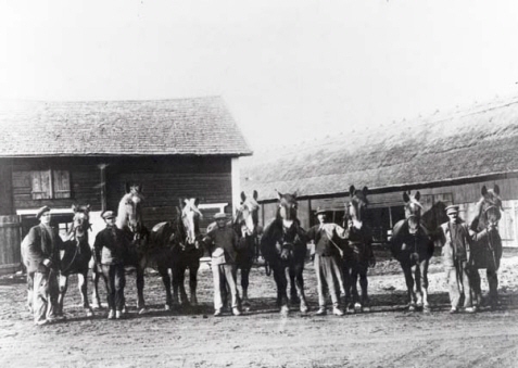 >Arbetsstyrkan och hästarna på Lundby gård
