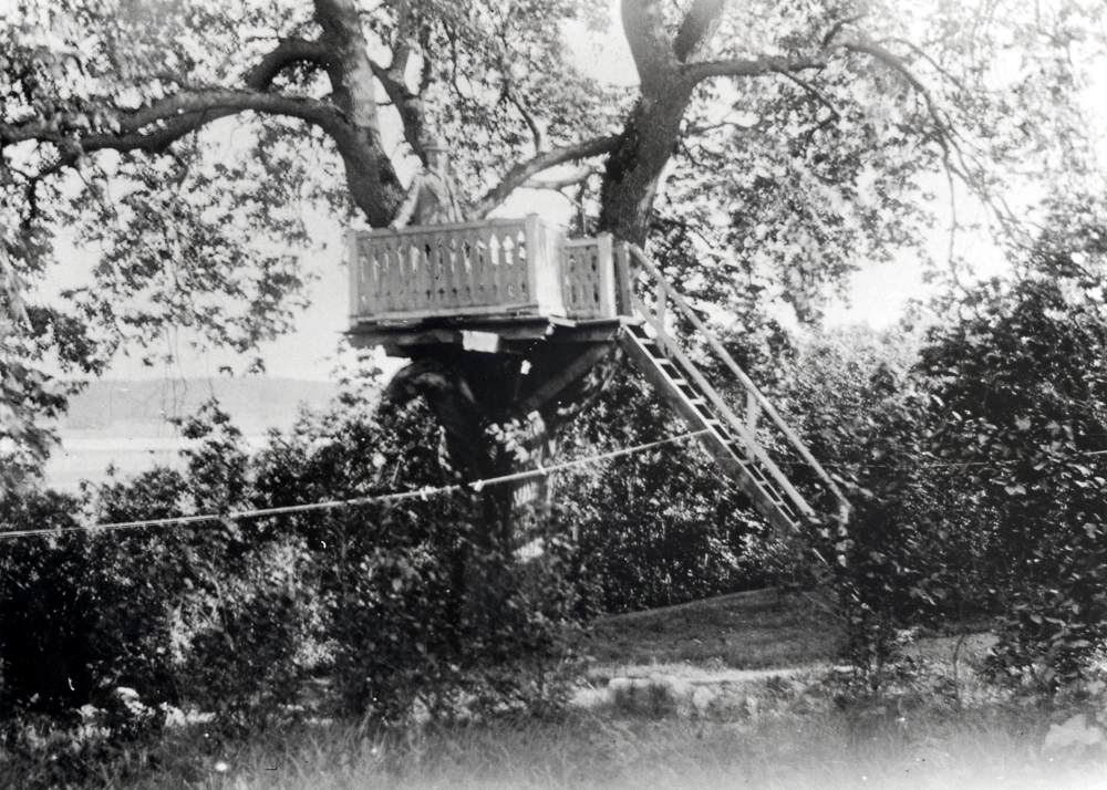 Patron Teodor Gustafson lät bygga en punschveranda i en stor lind i trädgården vid Husby gård i Markim. Det är patron själv som står och blickar ut över sina domäner