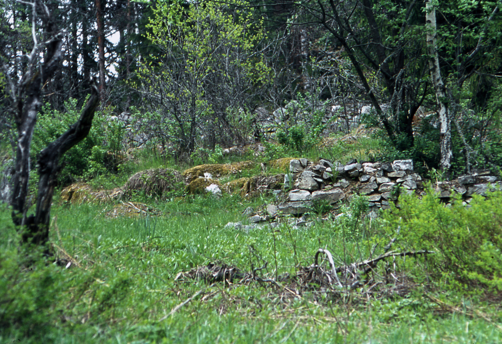 Torpruin vid Sibirien i Veda, som innan det blev en ruin var ett rappat torp med öppna ängar och åkrar. Fotografiet ingår i bildserien Några torp i Vallentuna 1970 som köptes av Vallentuna kommun. Dokumentationen gjordes mot bakgrund av den snabba förvandling av kulturlandskapet som skett och ännu sker. Många torp anlades under den svenska landsbygdens folkökning under slutet av 1700-talet och decennierna framöver. Dessa torp och små gårdar försvinner alltmer då de inte längre är lönsamma. Kulturmiljö.