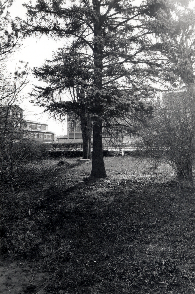 Utsikt från trädgården vid Mörbyvägen 3 mot öster och förvaltningshuset Tärningen. Huset byggdes 1923 som bostad för K E Karlsson med familj. I trädgården finns en hängalm med bord, belysning och infravärme, en gång planterad av K E Karlssons hustru. Fastighetsbeteckning Rickeby 1:67. Trots stora protester river kommunen det s k trädgårdskvarteret, det sista området i Vallentuna som visar på den villastad samhället en gång varit. Husen i området rivs i maj 2000. De nya husen börjar byggas av Skanska sent under hösten 2000