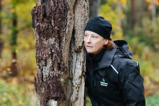 Porträtt av Lillemor