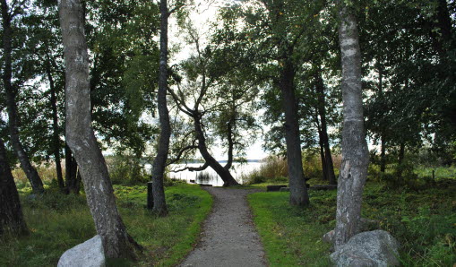 Björkby-Kyrkvikens naturreservat