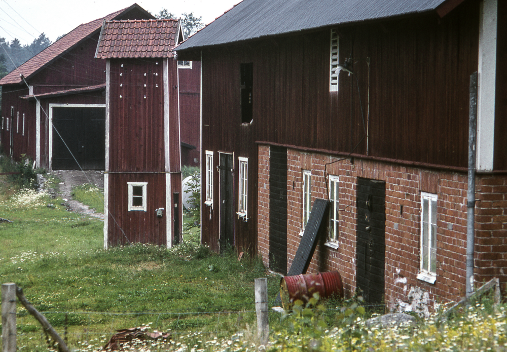 Lingsberg. Fotografiet ingår i bildserien Angarnssjöängen 1970 som köptes av Vallentuna kommun och gjordes mot bakgrund av den oro som fanns bland naturvänner då Stockholm stad planerade en ny stad i området med upp mot 100 000 invånare. Så småningom övergavs planerna och istället bildade Länsstyrelsen naturreservat 1982.