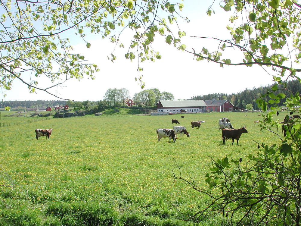 Sörgården, Rolsta.
