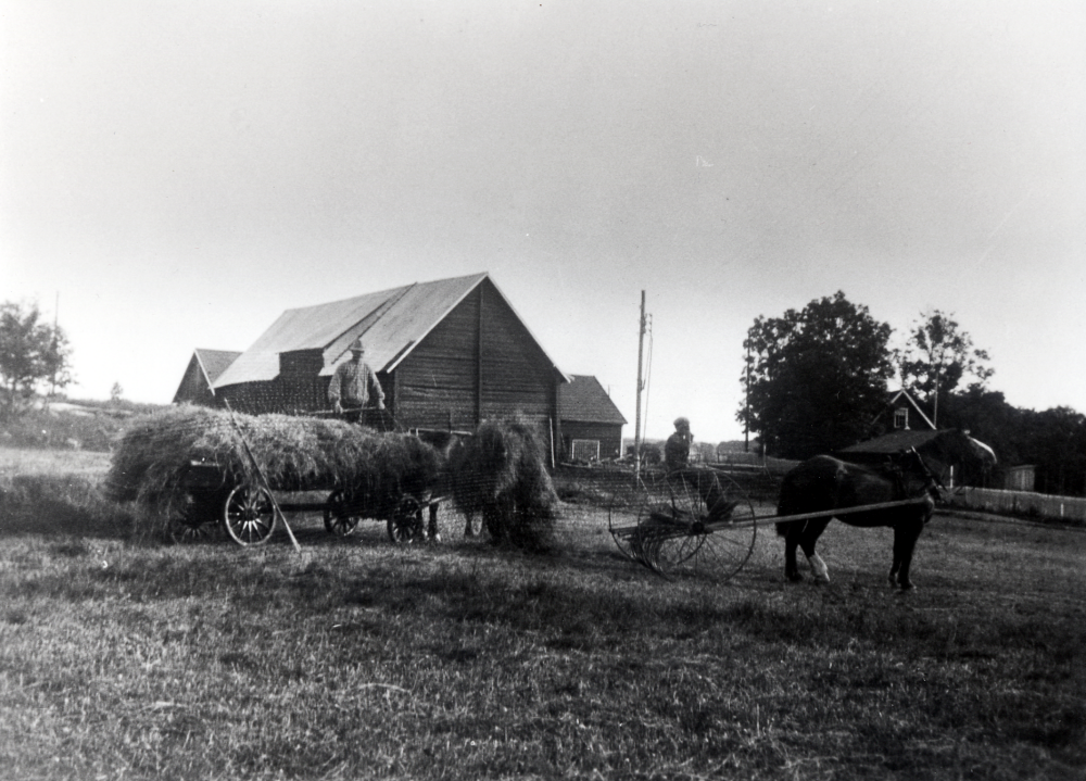 Höskörd vid Ormsta gård.  Förmodligen är det arrendatorn Gustaf Glassel som står på lasset och hans son som sitter på balansräfsan.  Arrendator Erik Sundman och hans hustru Wilhelmina "Mina" flyttade till gården först 1939 och bodde kvar tills arrendatorsbostaden väster om gården revs 1955. Bakom vagnen är gårdens ladugård bakom det  vagnslider med höskulle.  Uthus syns bland träden t v, träden skymmer också mangårdsbyggnaden riven i slutet av 1940-talet