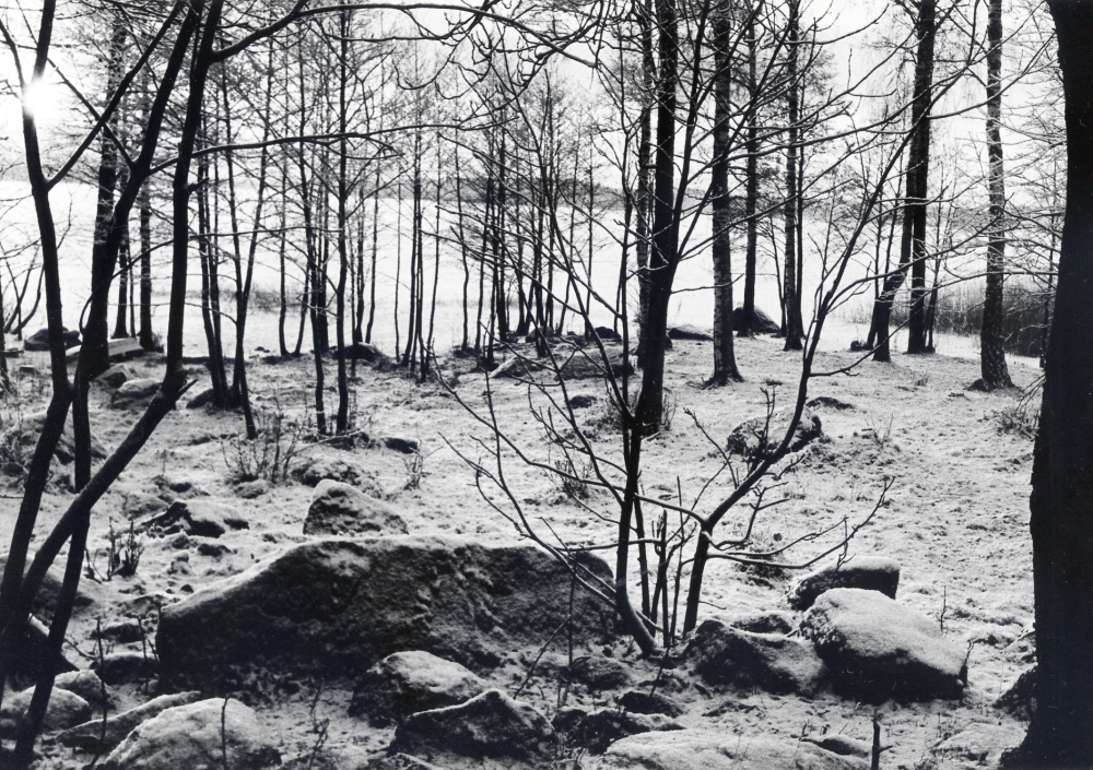 Vallentunasjön  nedanför  Vallentuna kyrka.  Kyrkviken  är sjöns den norra delen