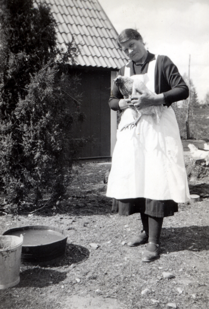 Anna Pettersson  med en höna i famnen i hönshuset vid Sigridslund i Ormsta.  Anna och maken Carl-Johan Pettersson "Brännar-Pelle"  bodde i Sigridslund 1926 till 1971, då husest revs inför byggandet av Ormstaskolans mellenstadiedel.  Anna levde 1882 till 1974