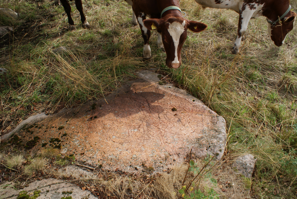 Hällristning (utan runor) U248 i Näle.